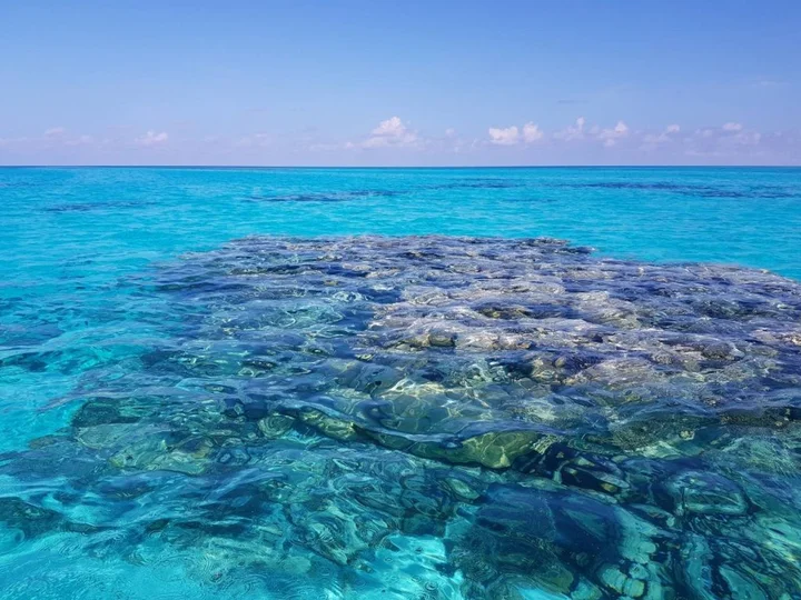 Атолл Гаафу-Дхаалу: Hoandedhoo Inn