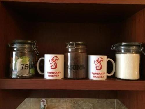 Тбилиси: Squirrel Hostel Tbilisi