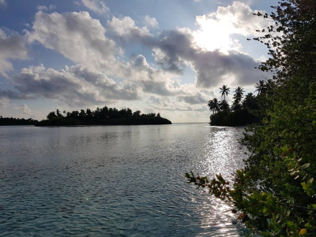 Атолл Гаафу-Дхаалу: Hoandedhooinn
