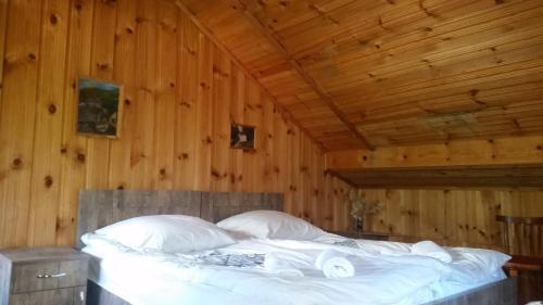 Местиа: Country house Lagami