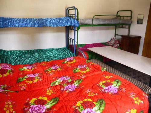 Бакуриани: Guest House Jigra