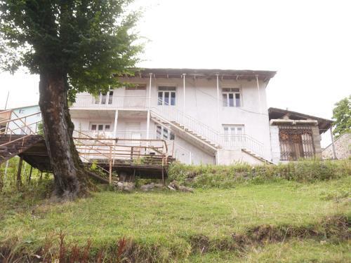 Бакуриани: Guest House Jigra