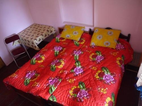 Бакуриани: Guest House Jigra