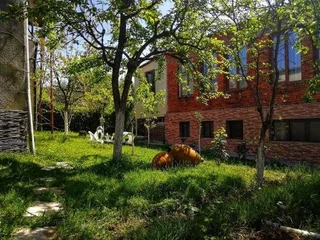 Кутаиси: Guest house on 26 Maya