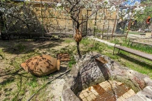 Тбилиси: Guest House Gardens 44