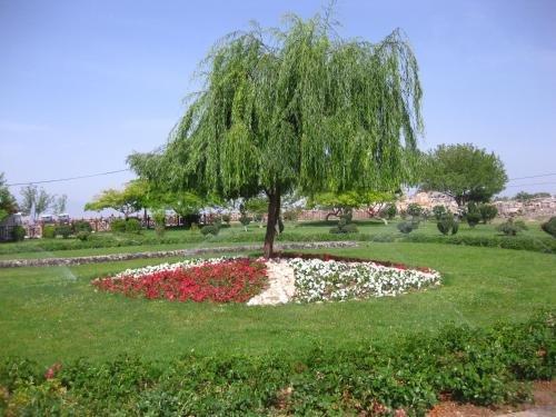 Батуми: Aparthotel on Abuseridze 9