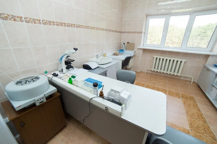 Молодечно: Сосновый бор