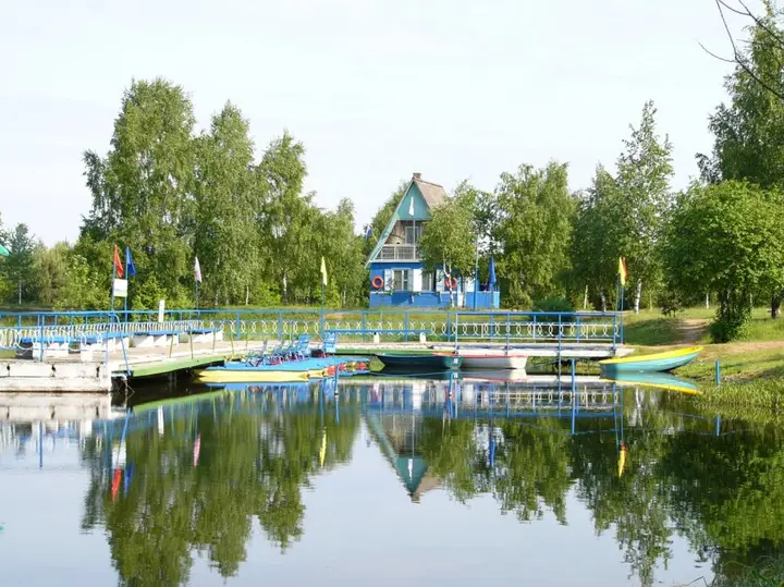 Сосновый бор — фото 4