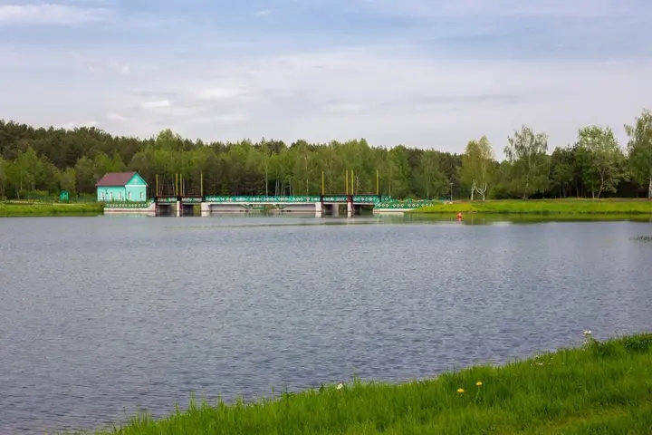 Молодечно: Сосновый бор
