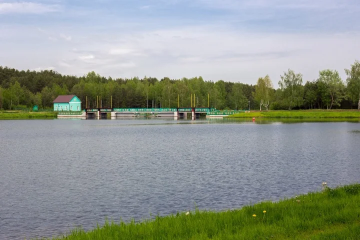Молодечно: Сосновый бор