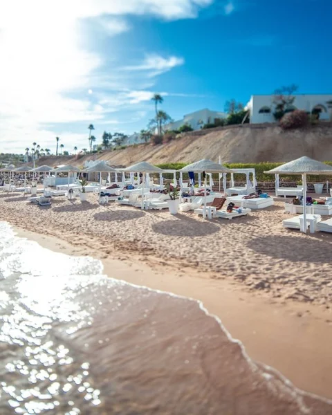 Шарм-эш-Шейх (Шарм-эль-Шейх): Domina Coral Bay Oasis