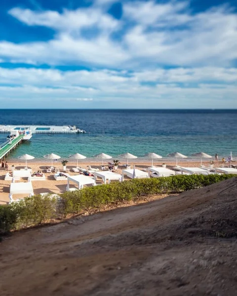 Шарм-эш-Шейх (Шарм-эль-Шейх): Domina Coral Bay Oasis