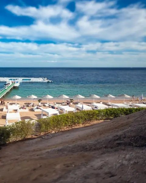 Шарм-эш-Шейх (Шарм-эль-Шейх): Domina Coral Bay Oasis