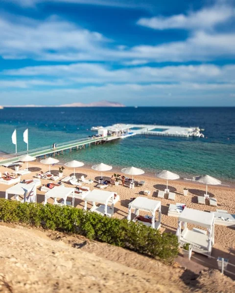 Шарм-эш-Шейх (Шарм-эль-Шейх): Domina Coral Bay Oasis