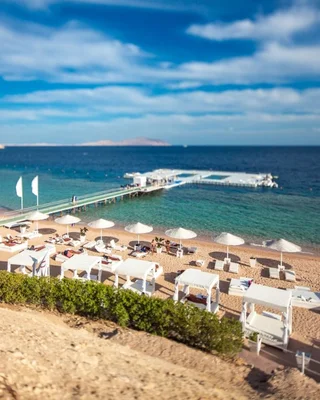Шарм-эш-Шейх (Шарм-эль-Шейх): Domina Coral Bay Oasis