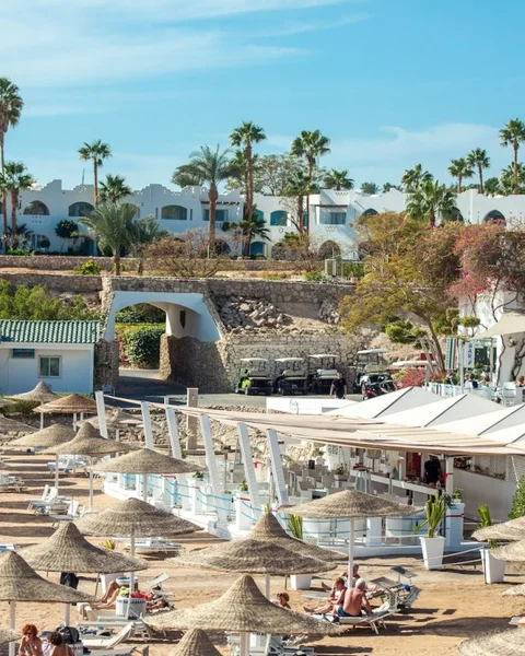 Шарм-эш-Шейх (Шарм-эль-Шейх): Domina Coral Bay Oasis