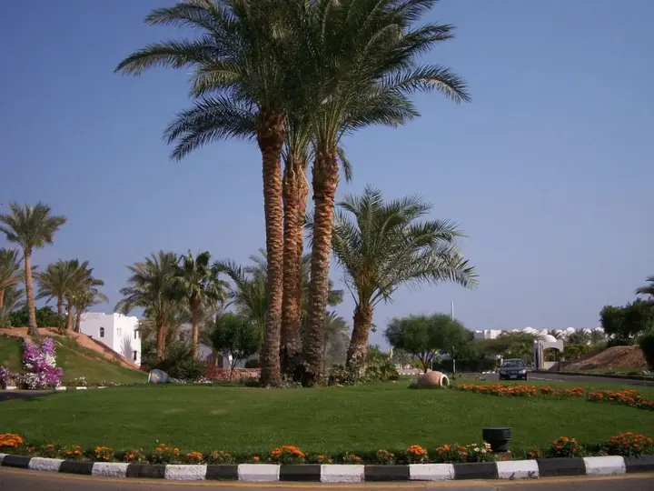 Шарм-эш-Шейх (Шарм-эль-Шейх): Domina Coral Bay Aquamarine Hotel & Resort