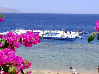 Шарм-эш-Шейх (Шарм-эль-Шейх): Domina Coral Bay Aquamarine Hotel & Resort