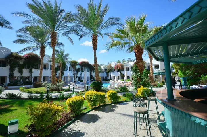 Шарм-эш-Шейх (Шарм-эль-Шейх): Falcon Hills Hotel