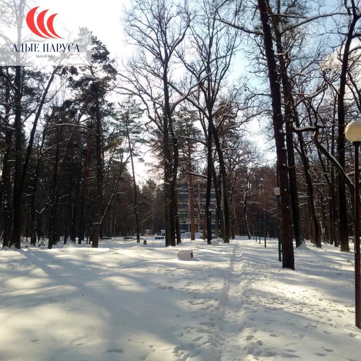 Гомель: База Отдыха Алые паруса