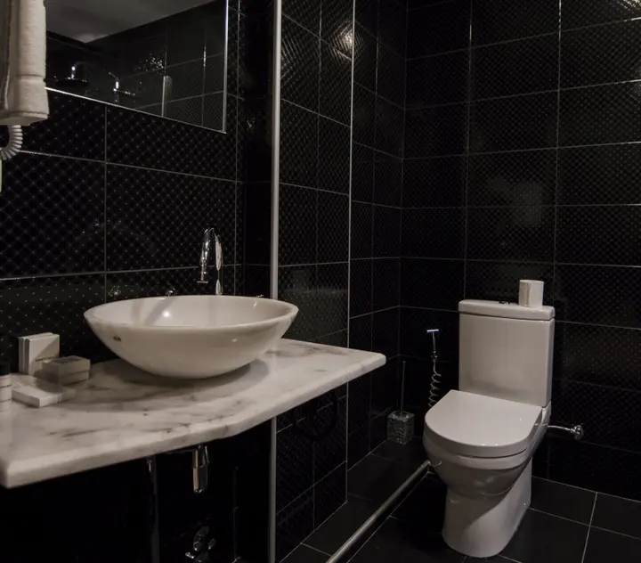 Тбилиси: Отель Boutique Biotel