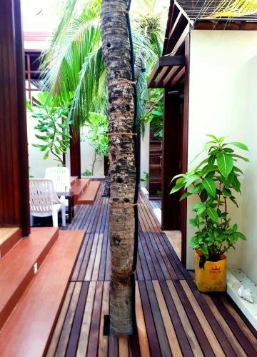 Атолл Алиф-Алиф: Beach Cottage