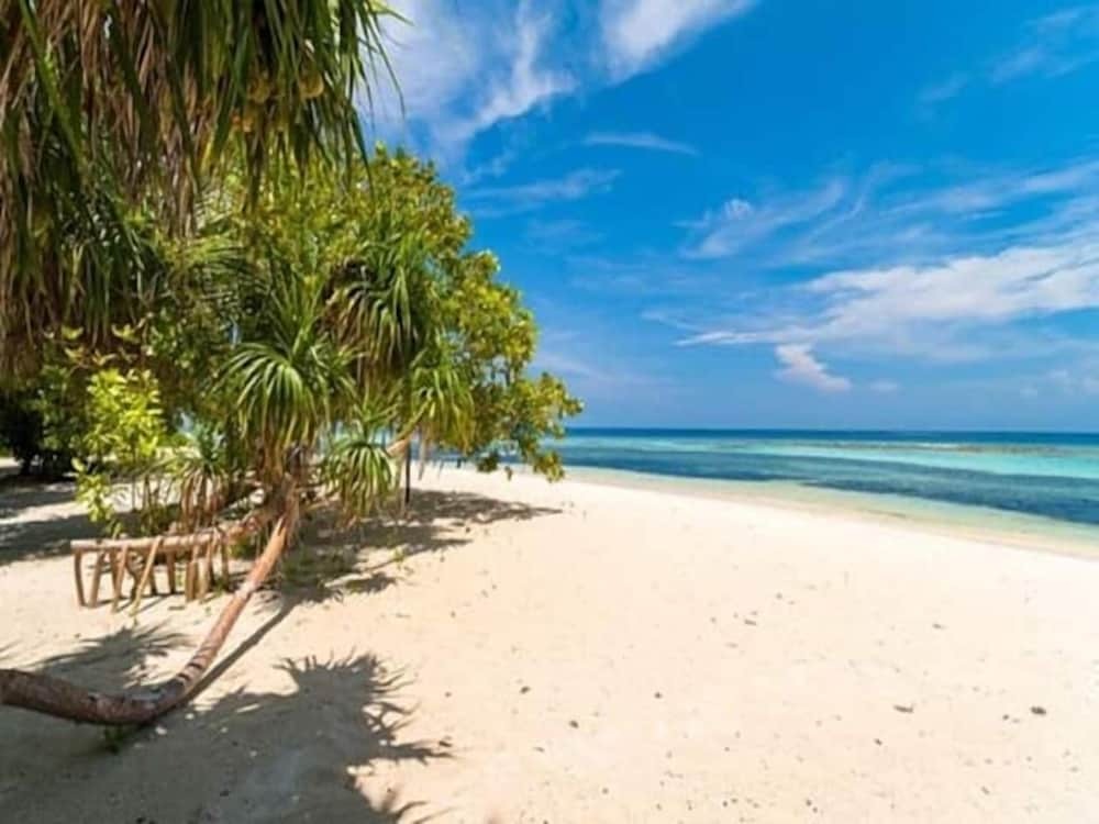 Атолл Алиф-Алиф: Beach Cottage