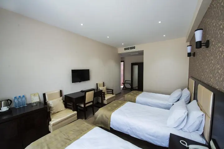 Тбилиси: Hotel Tbilisi Inn Mimino