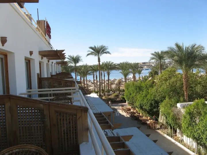 Шарм-эш-Шейх (Шарм-эль-Шейх): Oonas Dive Club
