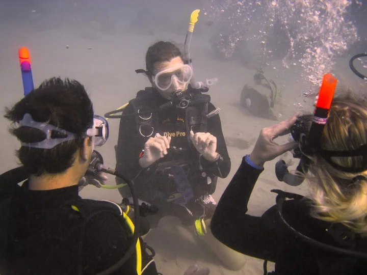 Шарм-эш-Шейх (Шарм-эль-Шейх): Oonas Dive Club