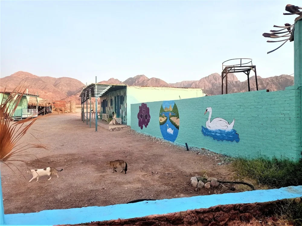 Таба: Sahara Beach Camp
