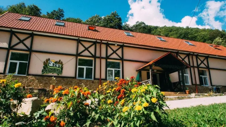 Красная Поляна: Арт-хостел Ёлки