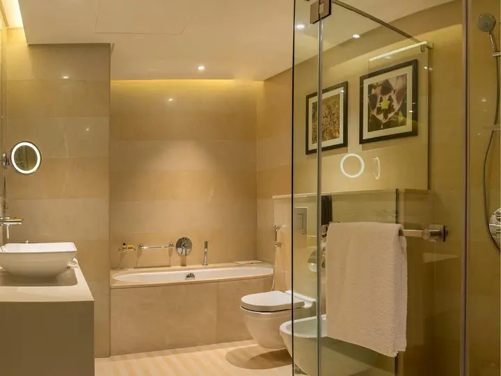 Дубай: Hyatt Regency Dubai Creek Heights Residences
