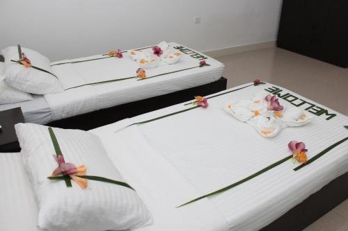 Атолл Алиф-Алиф: Shifa Lodge
