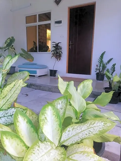 Атолл Адду: The Rose Garden House
