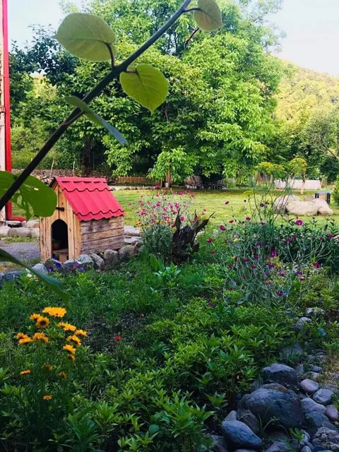 Лагодехи: Guesthouse STAR Lagodekhi