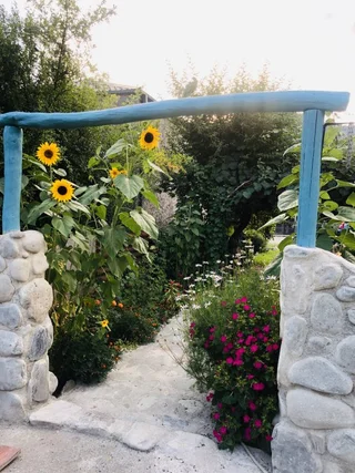 Лагодехи: Guesthouse STAR Lagodekhi