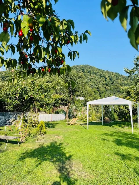Лагодехи: Guesthouse STAR Lagodekhi
