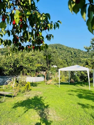 Лагодехи: Guesthouse STAR Lagodekhi
