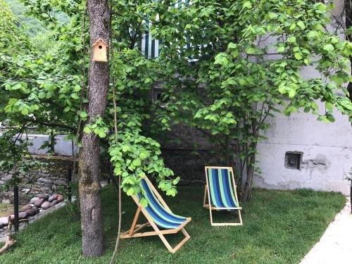 Пасанаури: Garden Hotel