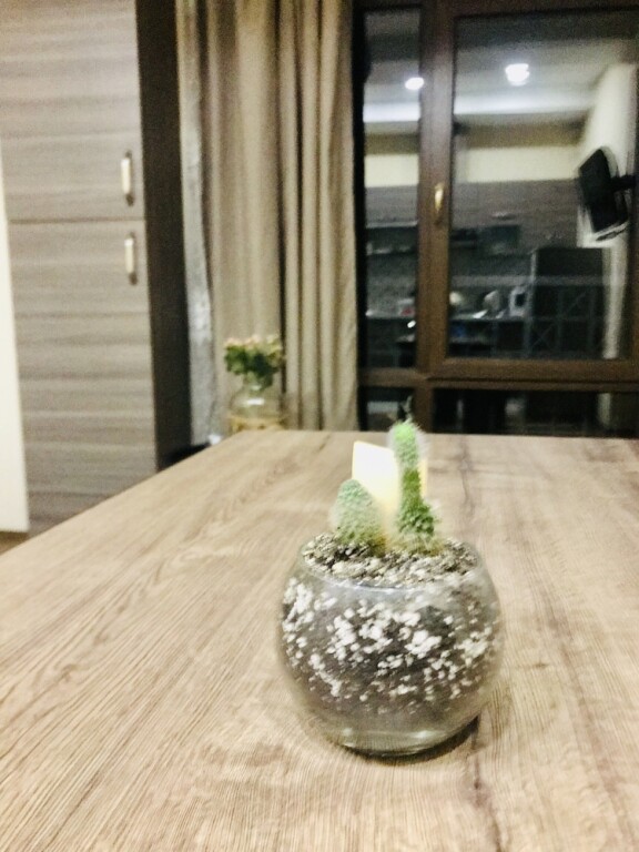 Тбилиси: My flat near METEKHI