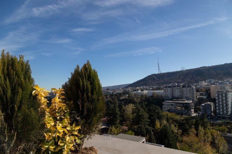 Отель Solum Roof Top — фото 6