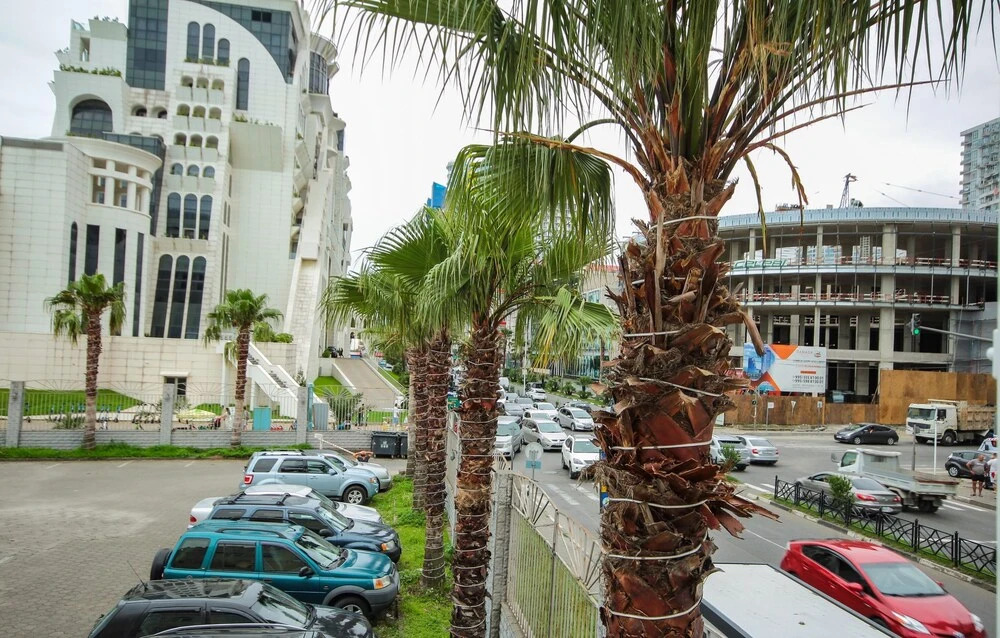 Батуми: Hotel Aquapark Batumi