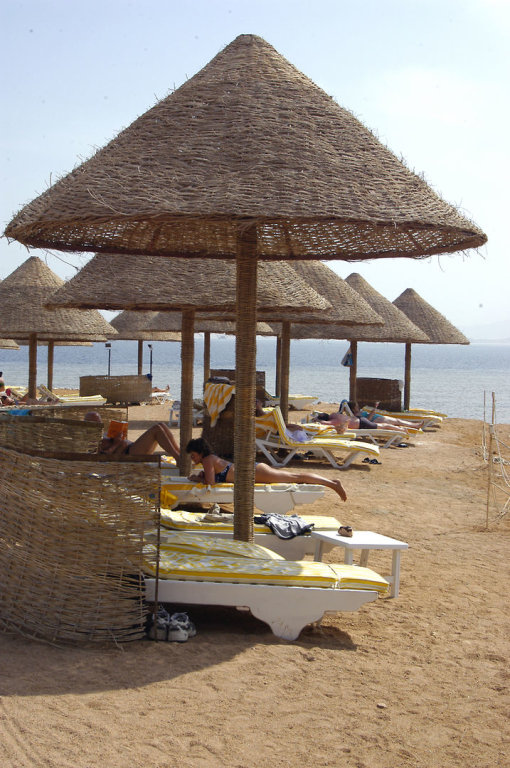 Шарм-эш-Шейх (Шарм-эль-Шейх): Parrotel Aqua Park Resort Sharm el-Sheikh