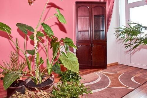 Вардзиа: Hotel Art-Seg