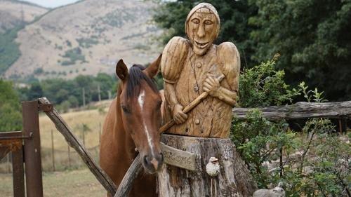 Тбилиси: Georgios Ranch