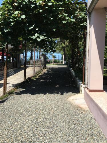 Кобулети: Guesthouse on Agmashenebeli 328