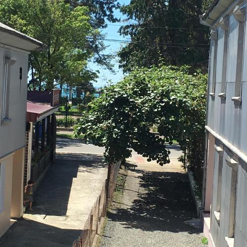 Кобулети: Guesthouse on Agmashenebeli 328