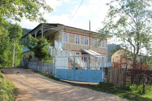Деканашвилеби: Armazi