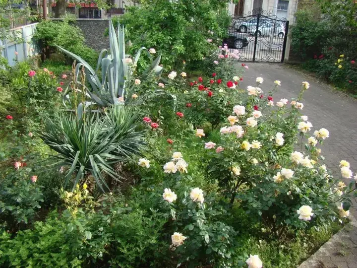 Кутаиси: Guest House Mariami